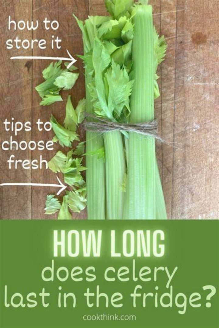 How long does a stalk of celery last in the refrigerator?