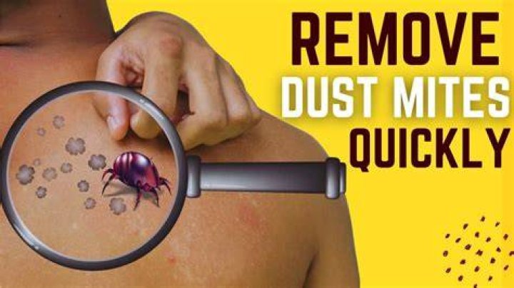 How long does avid take to kill mites?