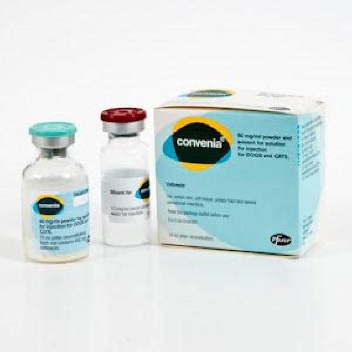 How long does it take for Convenia to work?