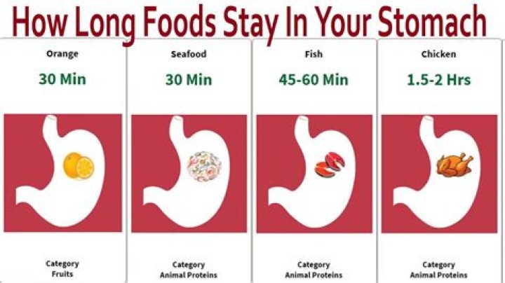 How long does ramen stay in the stomach?