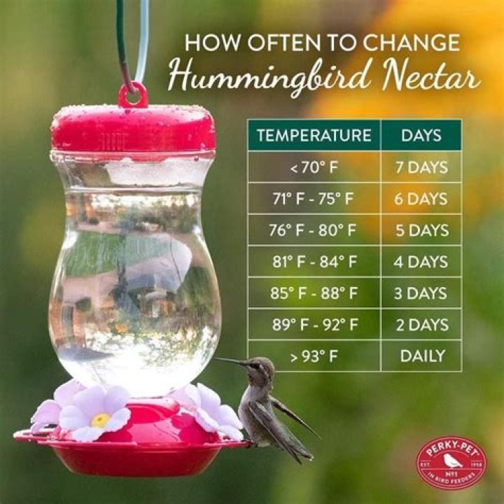 How long is hummingbird nectar good for?
