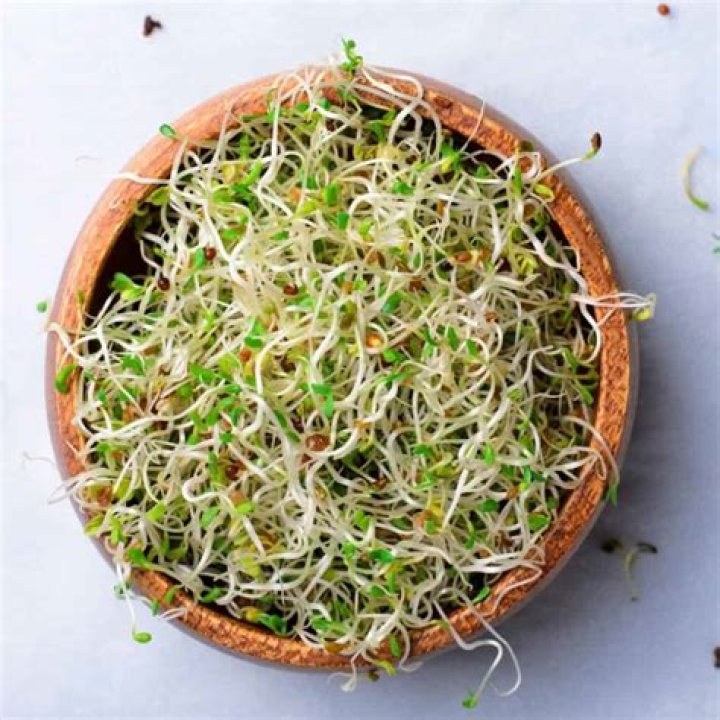 How long is sprouts online training?