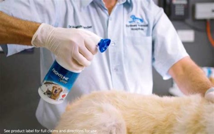 How long should you wait to pet your dog after applying Frontline?