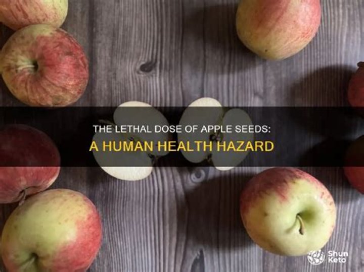 How many apple seeds will kill a human?