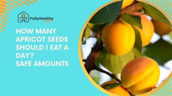 How many apricots should I eat a day?