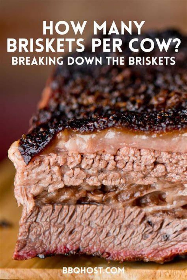 How many briskets will feed 30 people?