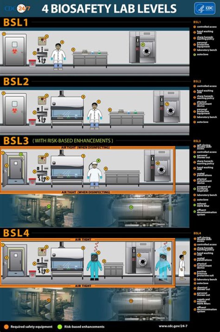 How many BSL levels are there?