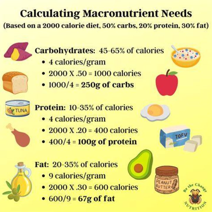 How many calories are in a 400g tin of coconut milk?