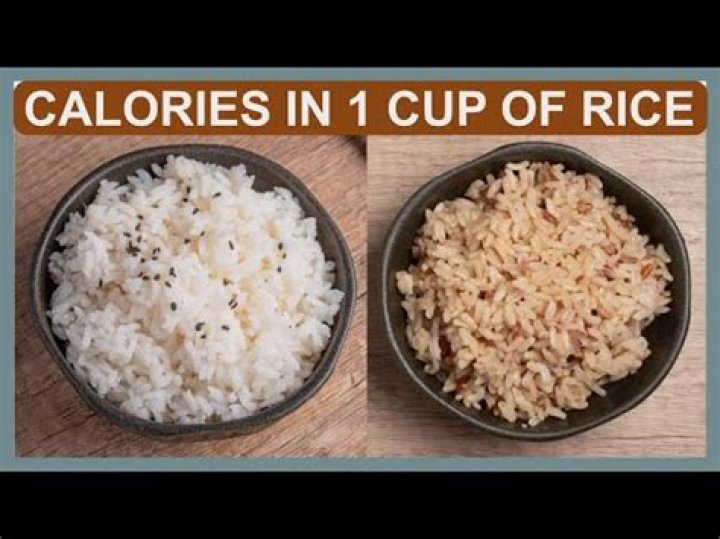 How many calories are in Filipino fried rice?