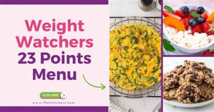 How many calories is 23 points on WW?