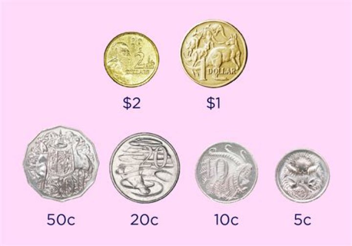 How many coins make 100 grams?