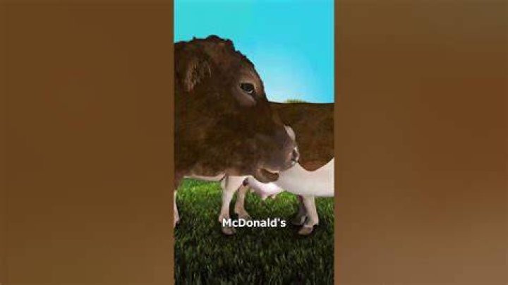 How many cows does McDonald’s use a year?