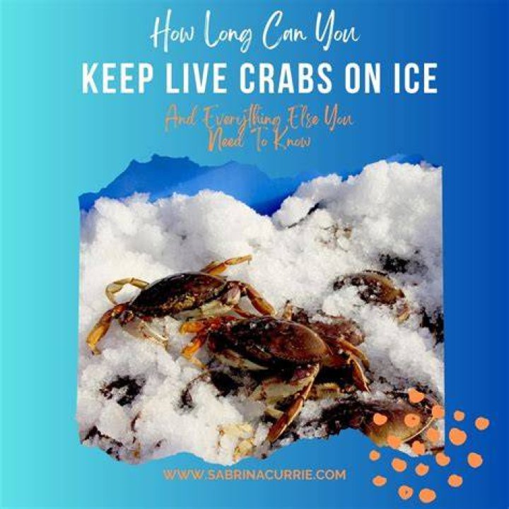 How many crabs can you keep in Alabama?