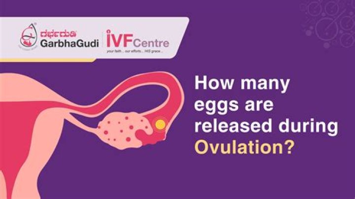 How many eggs are in a liquid egg carton?