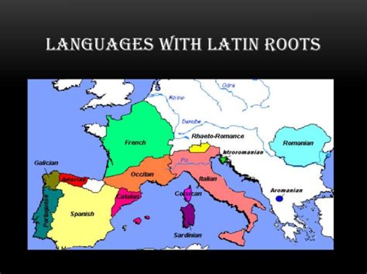 How many languages have Latin roots?