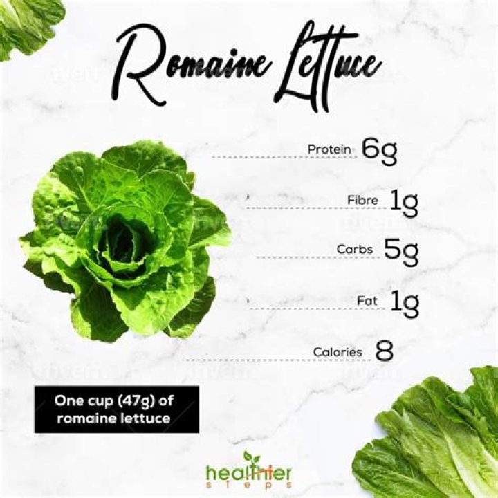 How many net carbs are in romaine lettuce?