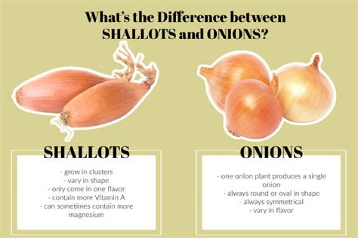How many onions is 2 shallots?