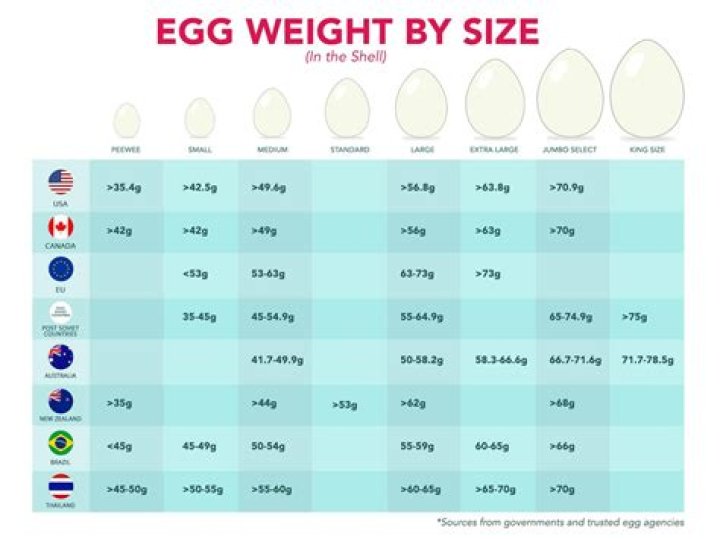 How many ounces does an egg weigh?