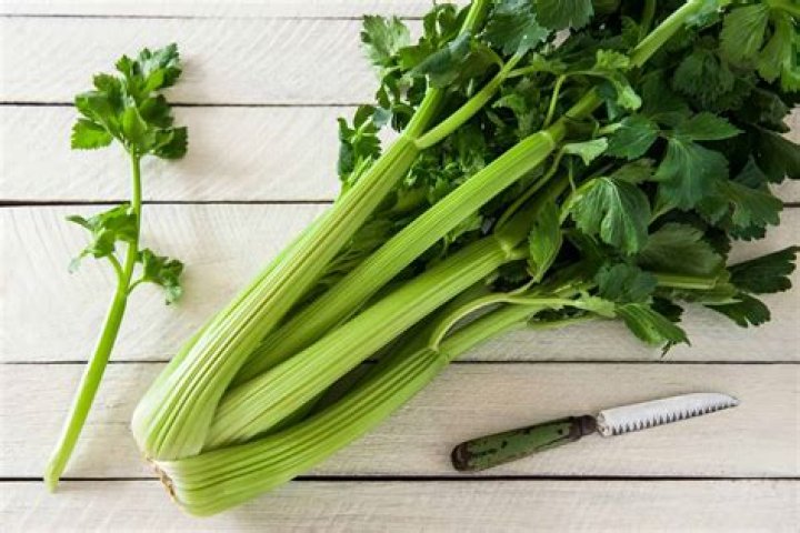How many ounces is 2 celery stalks?