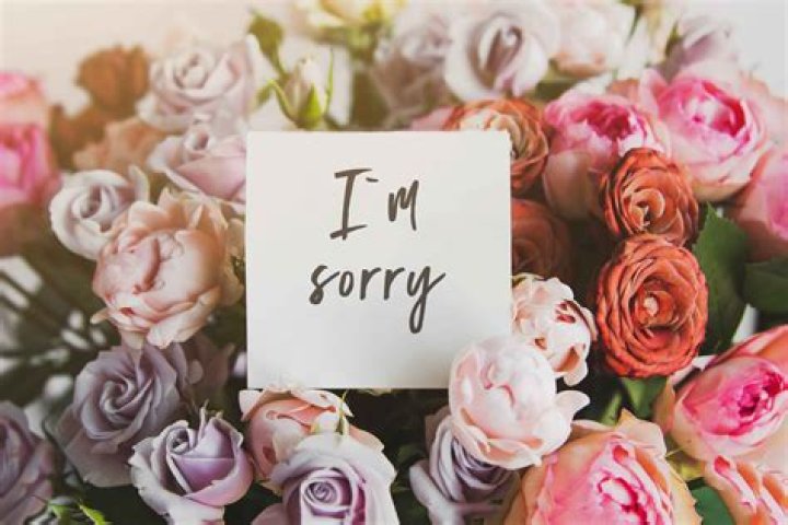 How many roses say I’m sorry?