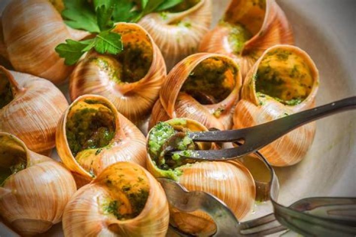 How many snails are eaten in France every year?