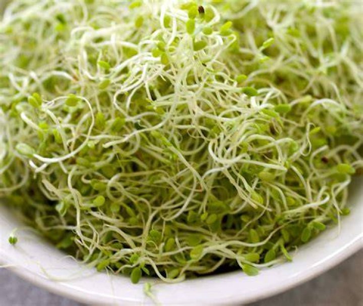 How many sprouts stores are there in the US?