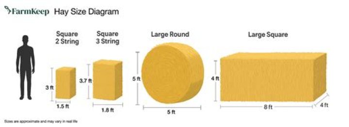 How many square bales are in a 4×5 round bale?