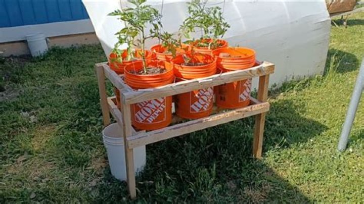 How many square feet will a 5 gallon bucket of Kool Seal cover?