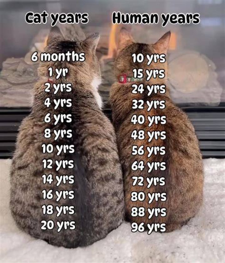 How many years are there in BC?