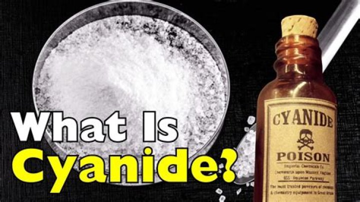 How much cassava is cyanide?