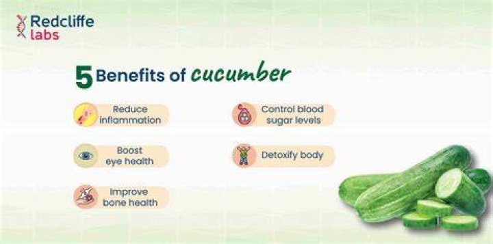 How much cucumber can I feed my rabbit?