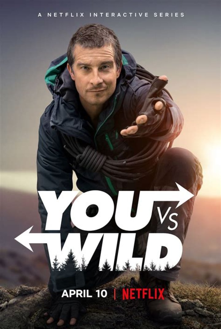 How much did Bear Grylls make on you vs Wild?