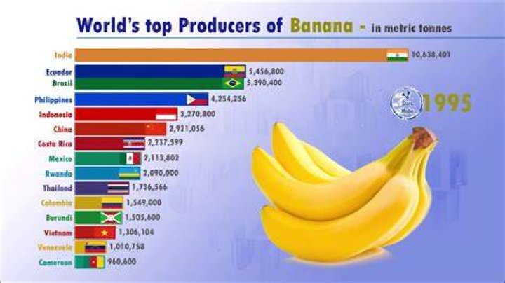 How much do bananas cost?