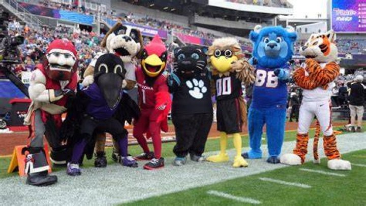 How much do NFL mascots make? Archives | PopularAsk.net