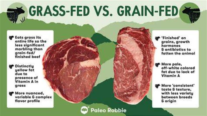 How much does 2 lbs of Italian beef feed?