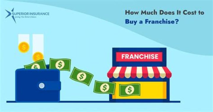 How much does a Bolay franchise cost?