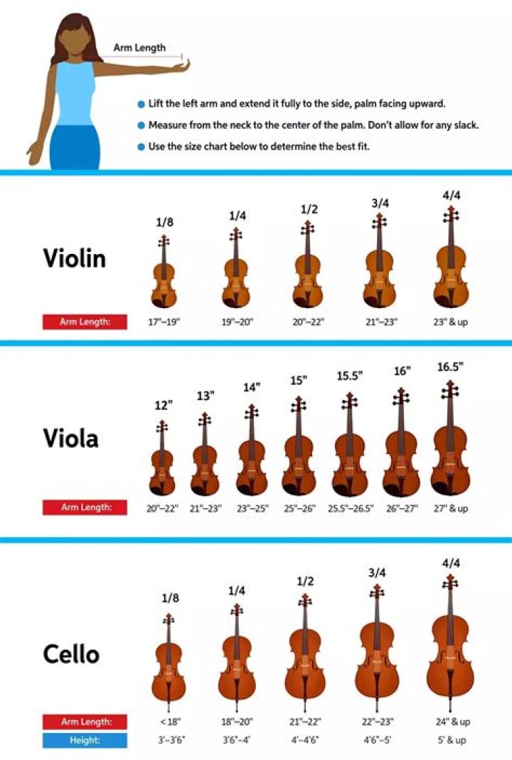 How much does a full size cello cost?