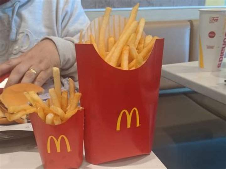 How much does a large fry cost at McDonald’s?