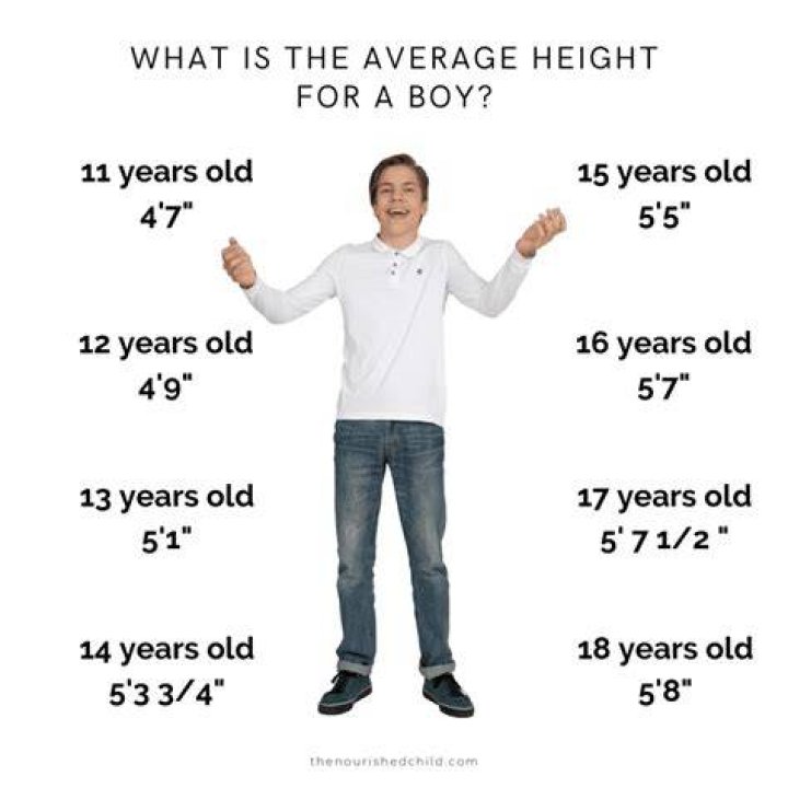 How much does a tall boy cost?