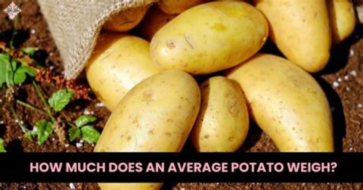 How much does an average potato cost?
