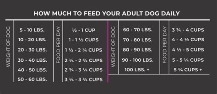How much does it cost to feed a dog wet food?