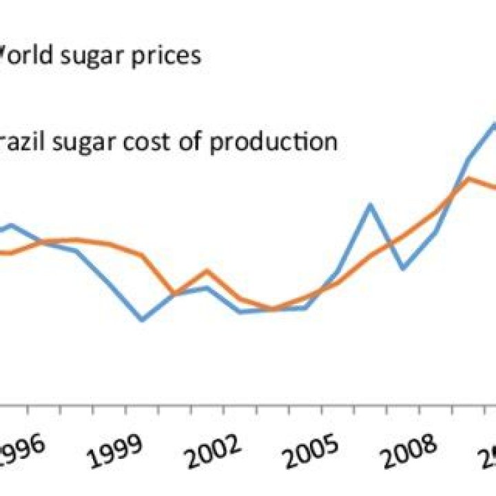 How much does organic sugar cost?