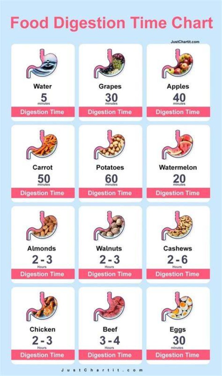 How much food does it take to get a Ghazt to level 15?