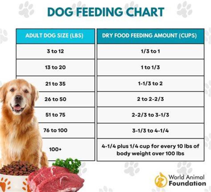 How much food should a large group eat?