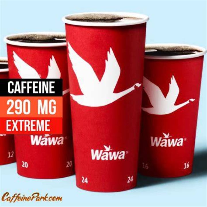 How much is a 20 oz coffee at Wawa?