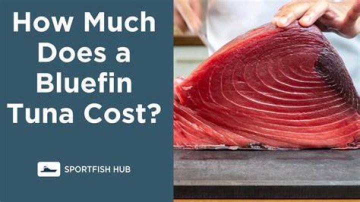 How much is a 600 pound bluefin tuna worth?