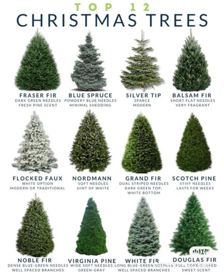 How much is a Christmas tree 2021?