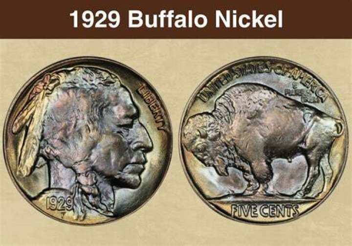 How much is a mint condition buffalo nickel worth?