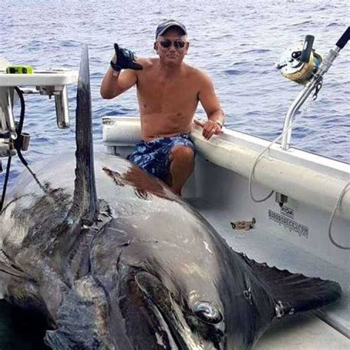 How much is a pound of blue marlin?