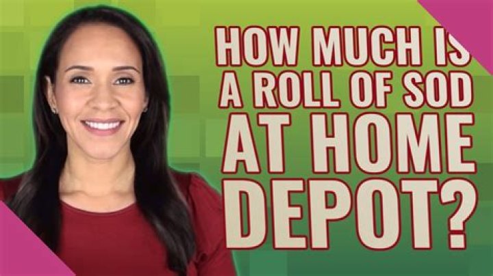 How much is a roll of sod at Home Depot?